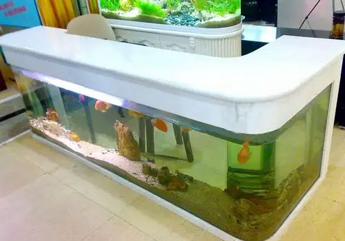 合肥鱼缸定做